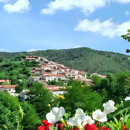 Cosy A Sirach Avec Vue Sur La Montagne 44 M² * Ria